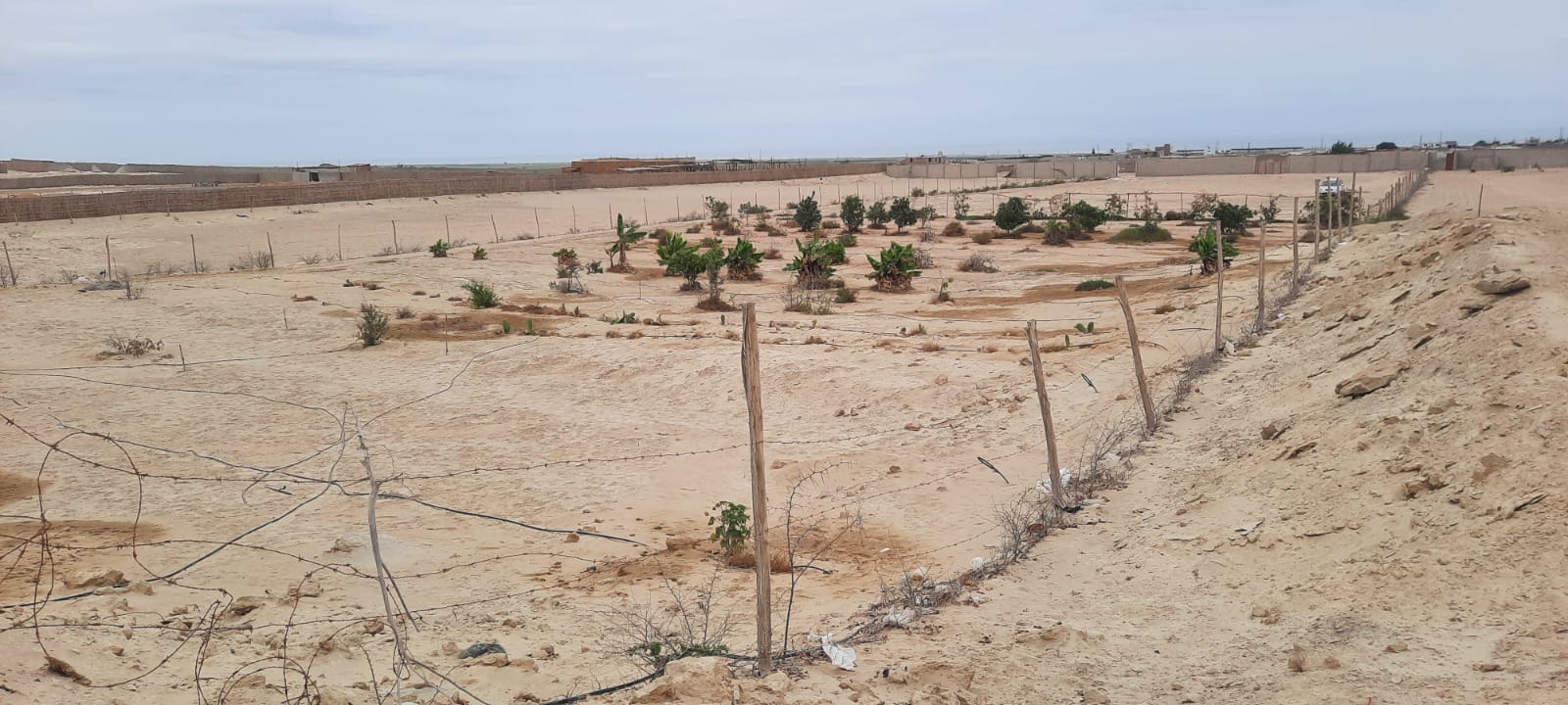 Imagen 6 de la propiedad