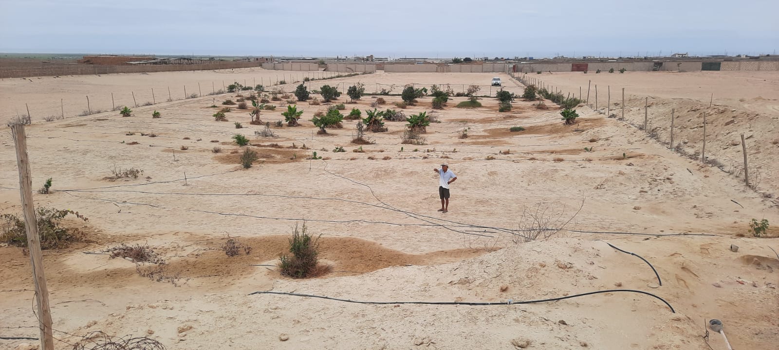 Imagen 4 de la propiedad