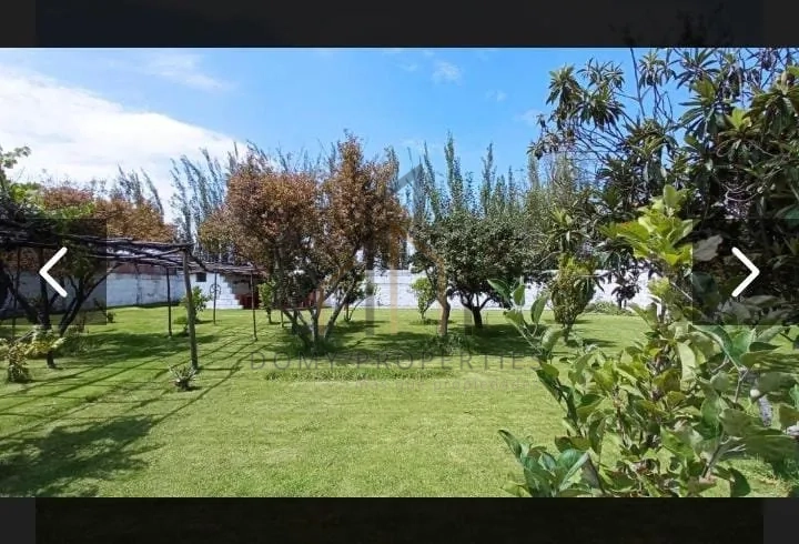 Imagen de la propiedad 20328