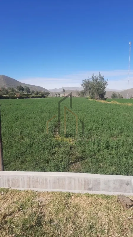 Imagen 3 de la propiedad