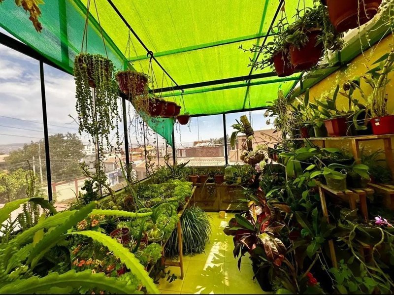 Imagen 7 de la propiedad