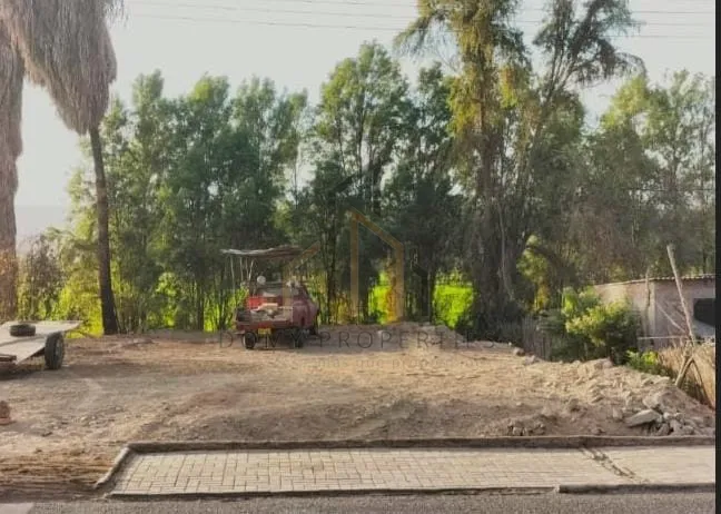 Imagen 6 de la propiedad