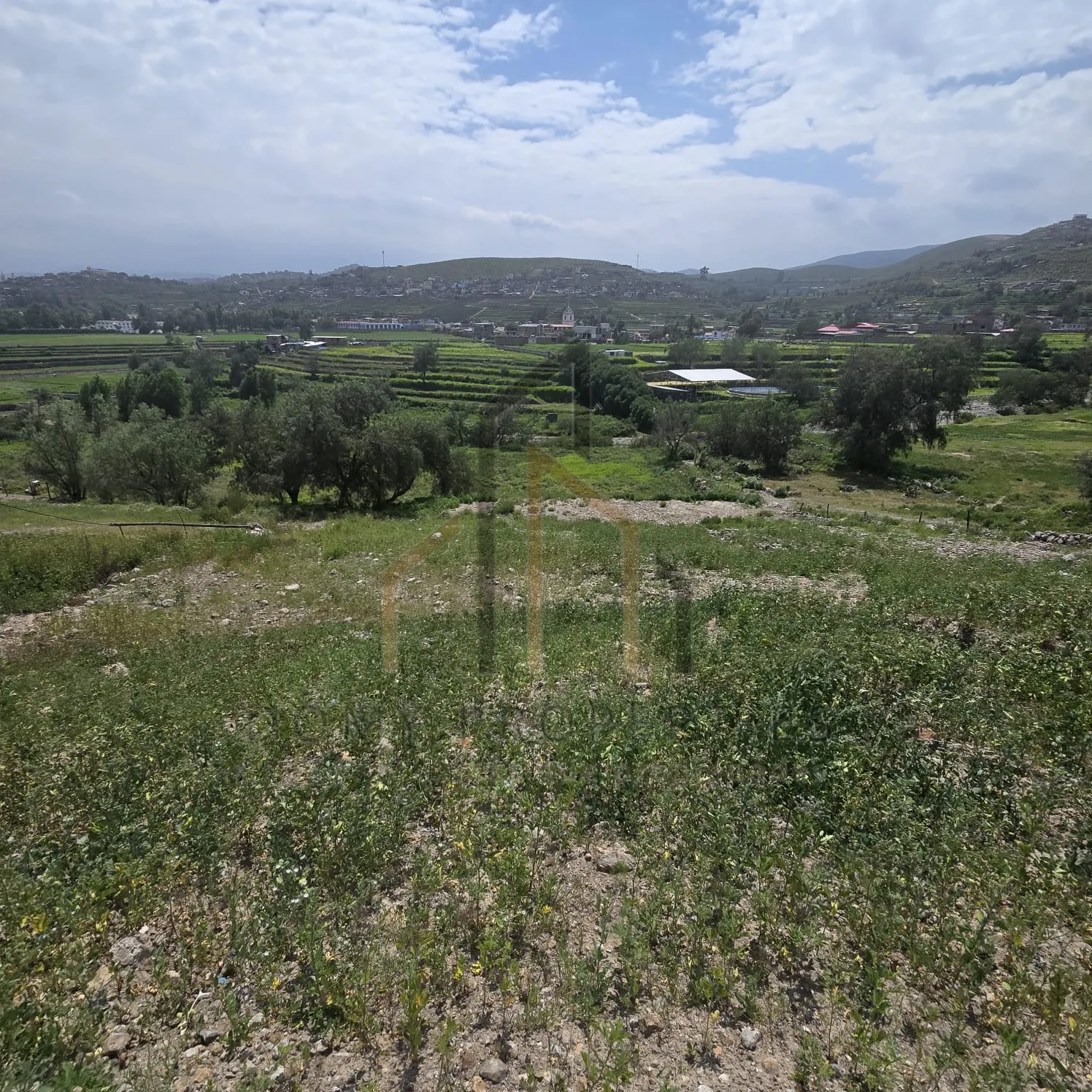 Imagen 3 de la propiedad